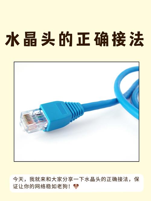 说起水晶头,这可真是个网络连接中的小能手!